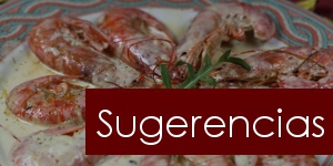 sugerencias